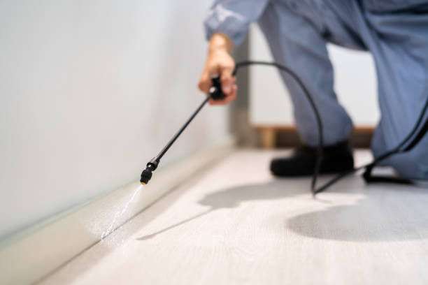 Licensed Pest Control service in Oakwood, IL - Show Me Pest Control